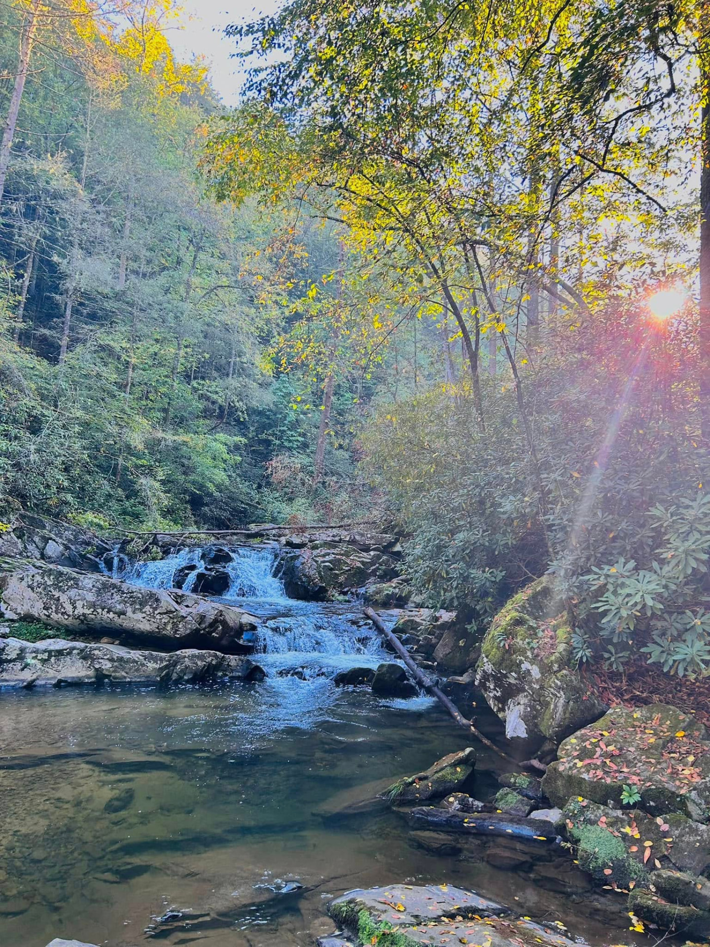 A creek falling over ledges in autumn light