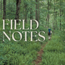 Field Notes logo