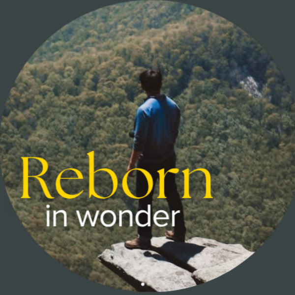 Reborn in Wonder logo