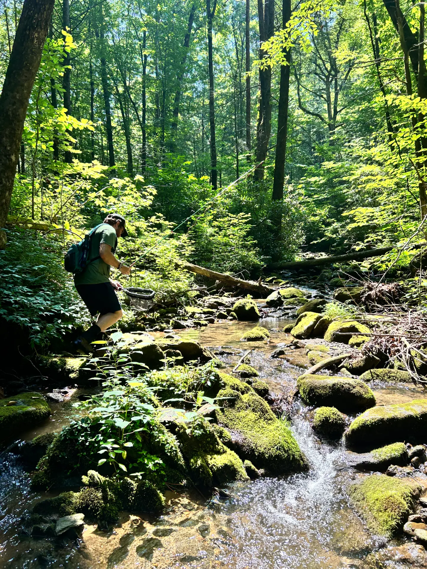 Fly fishing a mossy mountain stream