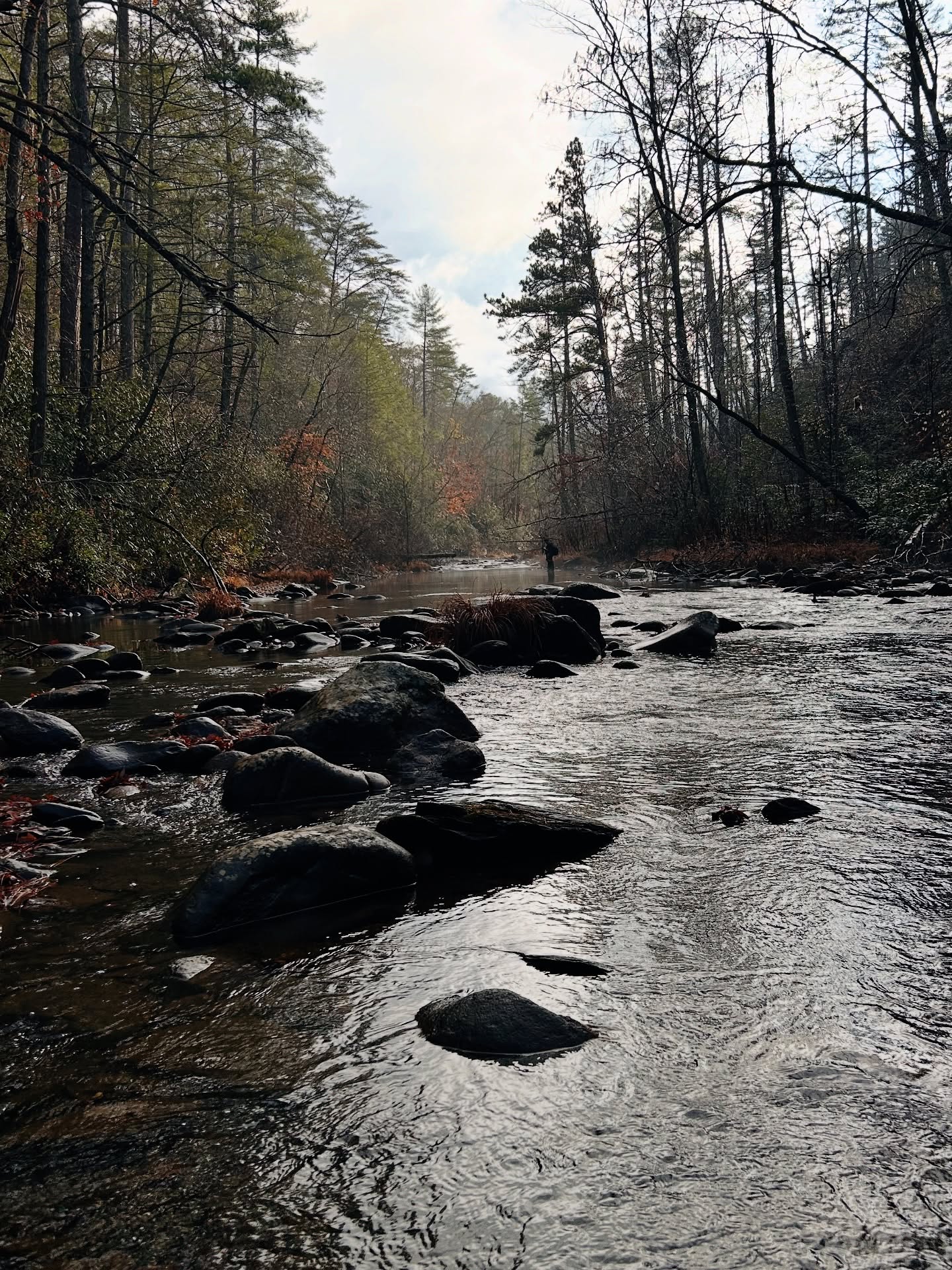 A rocky river through winter hardwoods