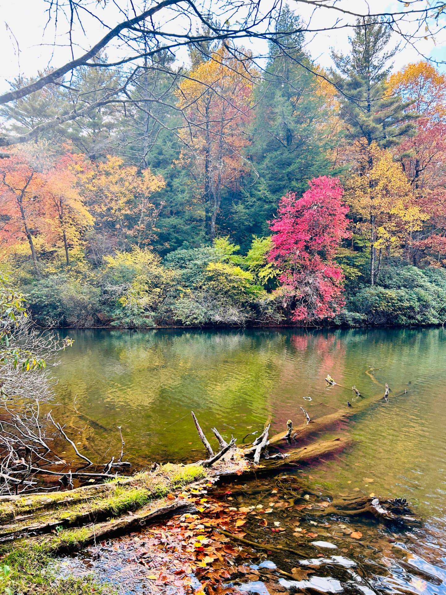 Fall color reflected in a still river pool